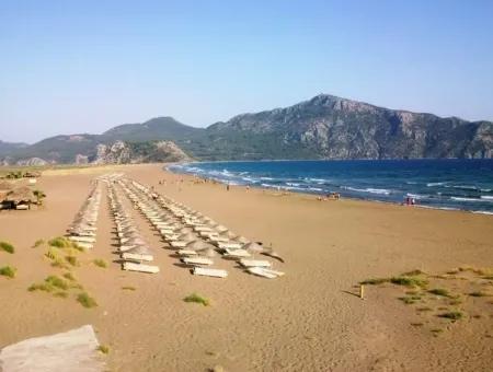 Ilkay Dalyan Real Estate. Relating To Real Estate For Sale In Dalyan. Relating To Real Estate For Sale In Ortaca.