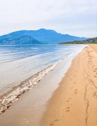 Dalyan Hakkında
