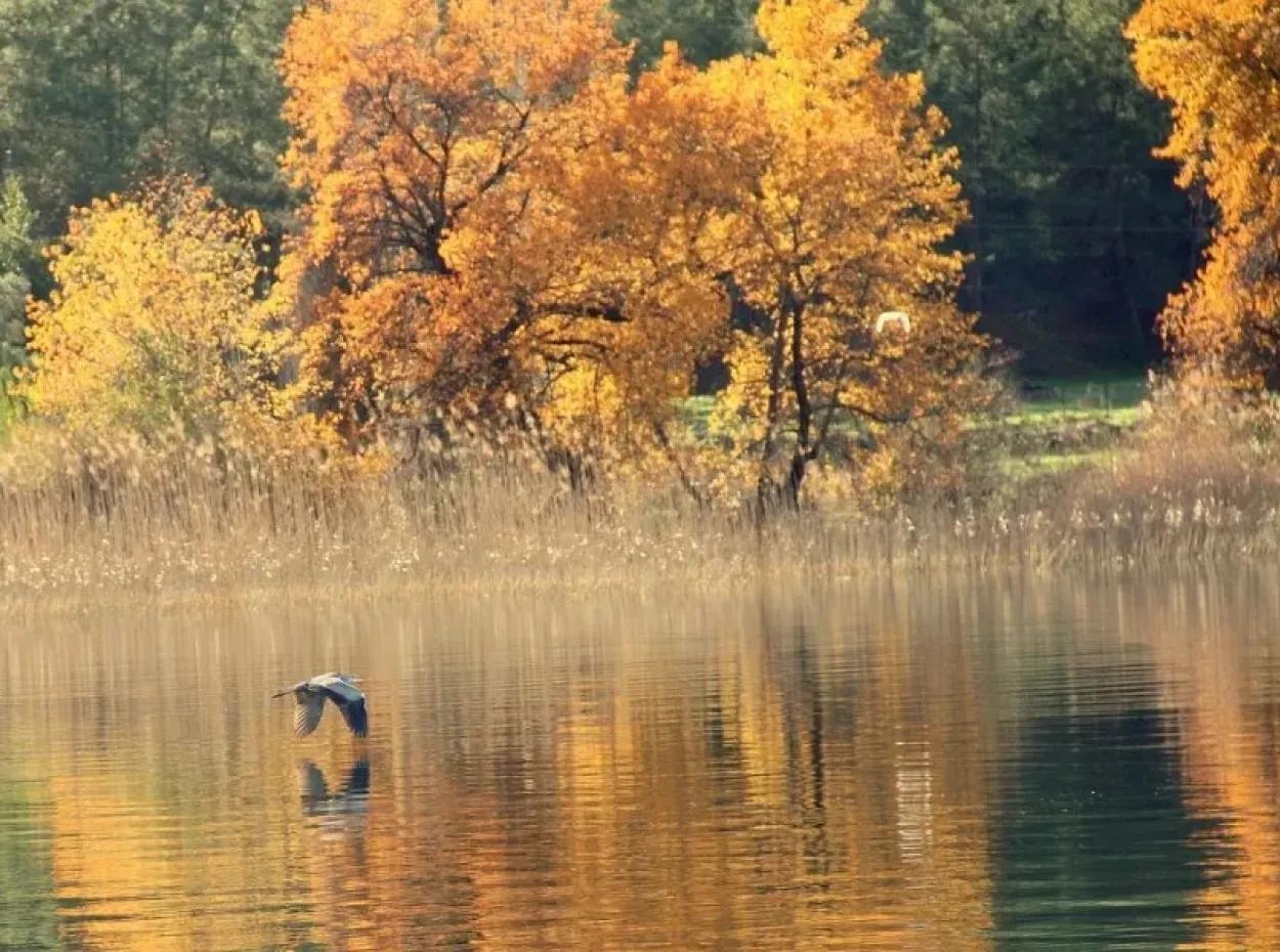 Dalyan İlkay Emlak. Dalyan Satılık Emlak İlanları. Ortaca Satılık Emlak İlanları.